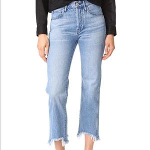 3x1 Shelter Austin Crop Jean